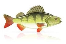 hải sản chữa viêm tụy