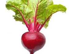 rau chữa viêm tụy